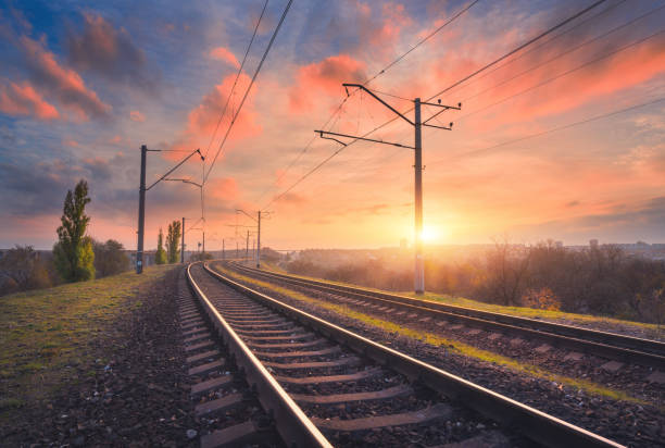 istockphoto-687099918-612x612-1